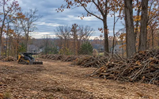 A wooded residential lot partly cleared, with brush piled and large trees left standing